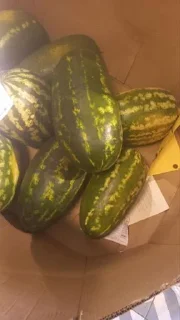 Sticker Угадай что выкину @Tgthemstickbot - 1