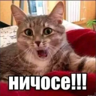 Sticker Херня @sticker_emojibot - 10