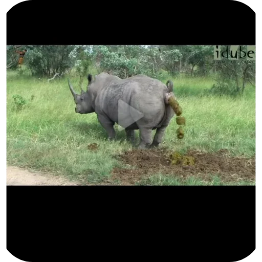 Sticker SAgFEJdooP_by_Moistick_bot - 1