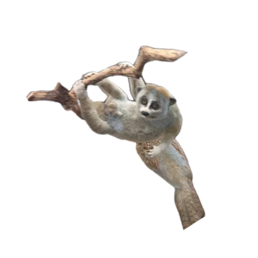 Стикер SAgFEJdooP_by_Moistick_bot - 1