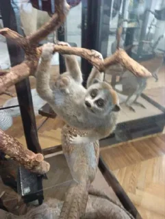 Стикер 52 хромосомы @Moistick_bot - 5