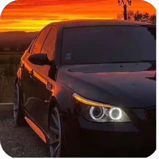 Стикер 52 хромосомы @Moistick_bot - 10