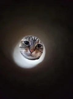 Sticker Больше стикеров: @sticerru - 3