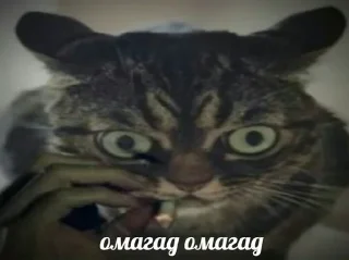 Sticker Больше стикеров: @sticerru - 10