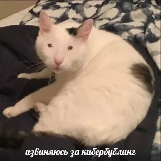 Sticker Больше стикеров: @sticerru - 0