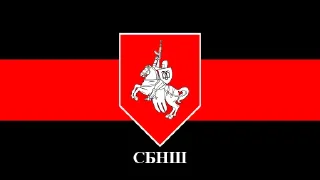 Стикер СБНШ - 5