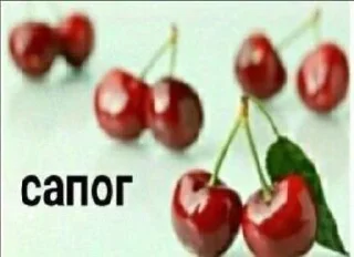 Стикер нет @Sticker_tg_robot - 6