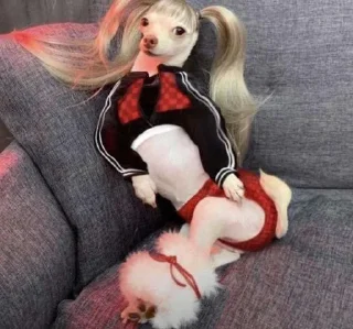 Стикер Дашенька @Moistick_bot - 2