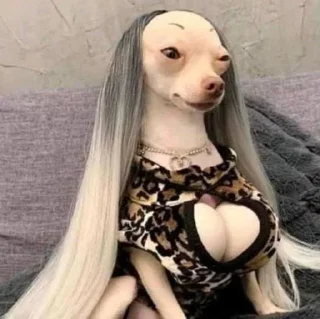 Стикер Дашенька @Moistick_bot - 0