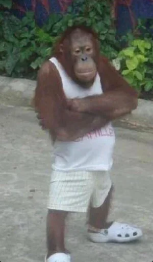 Человек одежда земля