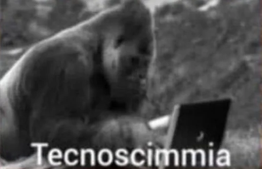 животное млекопитающее примат