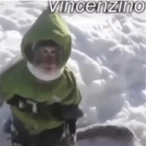 человеческое лицо Человек снег