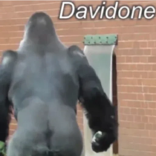 здание на открытом воздухе чёрный