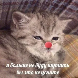 Sticker Больше стикеров: @sticerru - 1