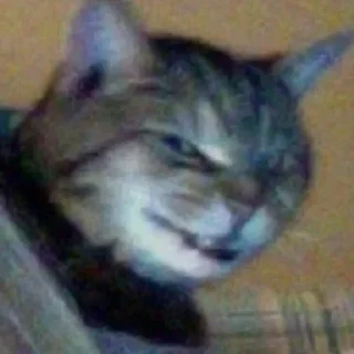 Sticker Больше стикеров: @sticerru - 7