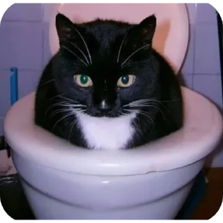 Стикер SDeL Stickers - 8