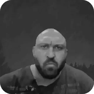 Стикер SDeL Stickers - 5