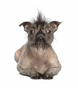 Стикер Грязь наркотики и криминал @Sticersi_bot - 10