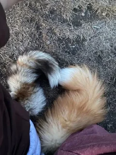 Стикер Терианы| квадробика @Stikerhi_bot - 8