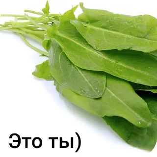 Стикер Стикеры no name @Tgthemesrobot - 1