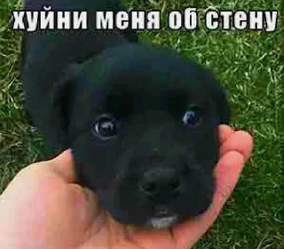 Стикер Больше стикеров 👉🏻 @stickertg4 - 7