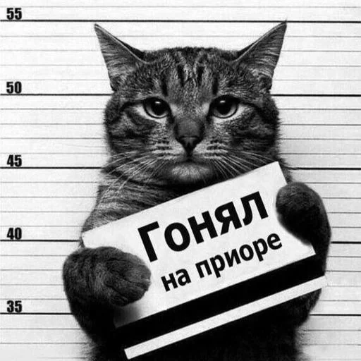 🌝 @Stikerhi_bot - 