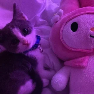 Стикер 🌝 @Stikerhi_bot - 7