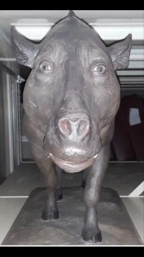 Sticker SFEqtZsrqv_by_StikerProbot - 1