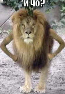 Sticker Ame gang @StikerProbot - 10