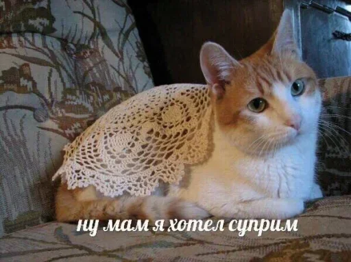 Стикер SFrwrUQfRHnaVlBy_by_stickers_stealer_bot - 1