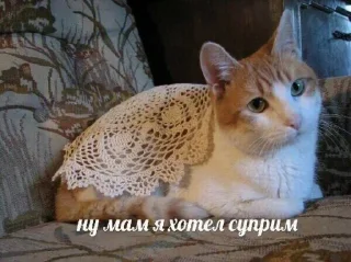 Стикер Больше стикеров 👉🏻 @stickertg4 - 1