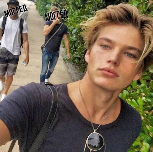 Sticker SG2PETt7XR_by_Shrifty_textbot - 1