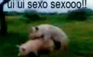 Sticker Стикеры тут: @stikeryv - 6