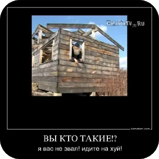 Стикер Мемы @horoscopelovebot - 5