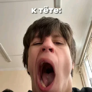 Sticker shapkaZA100 - 6