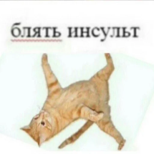 Sticker shadowpack - 10