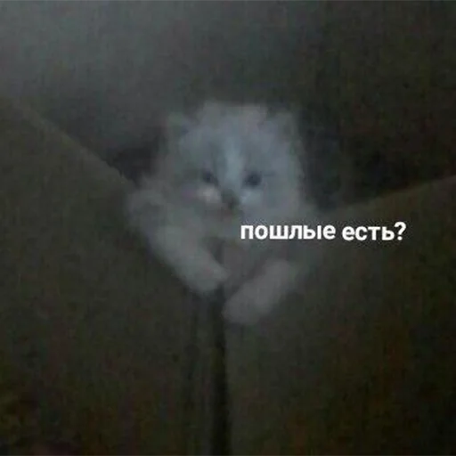 Sticker shadowpack - 9