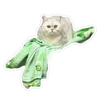 Sticker ШЕРСТЬ ОЛЕСИ 3 ШТУКИ - 2