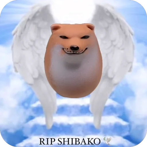 Стикер SHIBAKOOO - 1