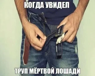 Стикер ШИЗОВИЧКИ @doomka4 - 8