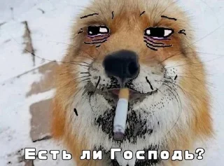 Стикер ШИЗОВИЧКИ @doomka4 - 3