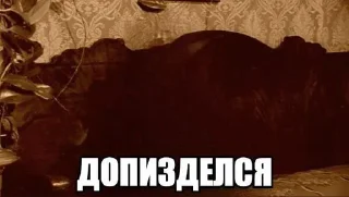 Стикер ШИЗОВИЧКИ @doomka4 - 1