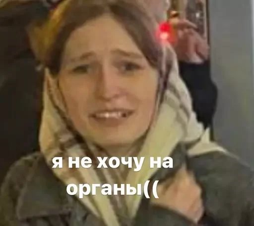 Стикер шкодники - 1