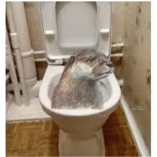 Sticker SHKIBIDITULAETY - 1