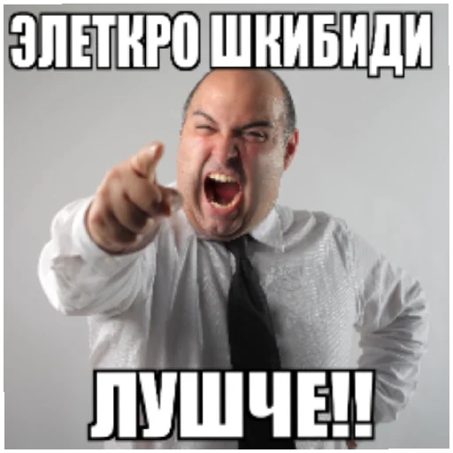 Sticker SHKIBIDITULAETY - 1