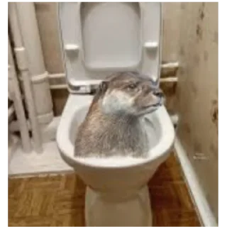 Sticker ШКИБИДИ ТУЛАЕТЫ - 9