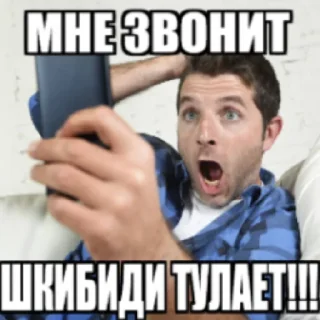 Sticker ШКИБИДИ ТУЛАЕТЫ - 11