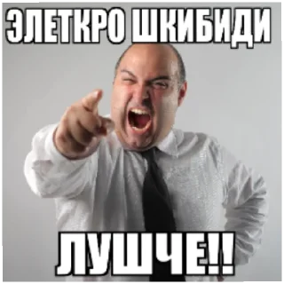 Sticker ШКИБИДИ ТУЛАЕТЫ - 0