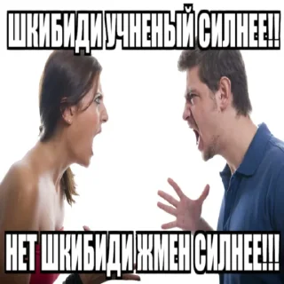 Sticker ШКИБИДИ ТУЛАЕТЫ - 10