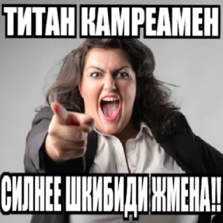 Sticker ШКИБИДИ ТУЛАЕТЫ - 7